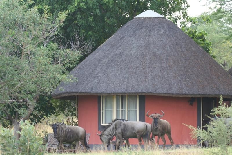 Mohlabetsi Safari Lodge